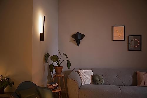 Aplique Inteligente Philips Hue Liane - Alexa