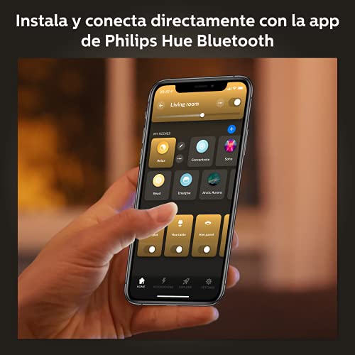 Lámpara Colgante Inteligente Philips Hue Amaze - Alexa