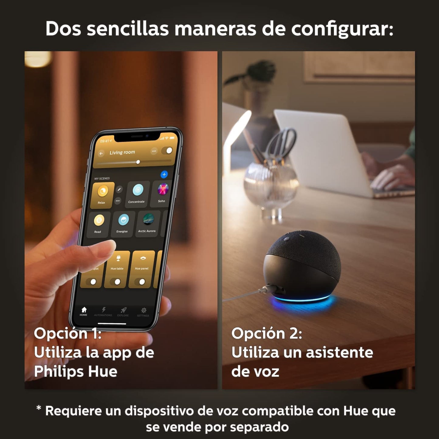 Lámpara Colgante Inteligente Philips Hue Amaze - Alexa